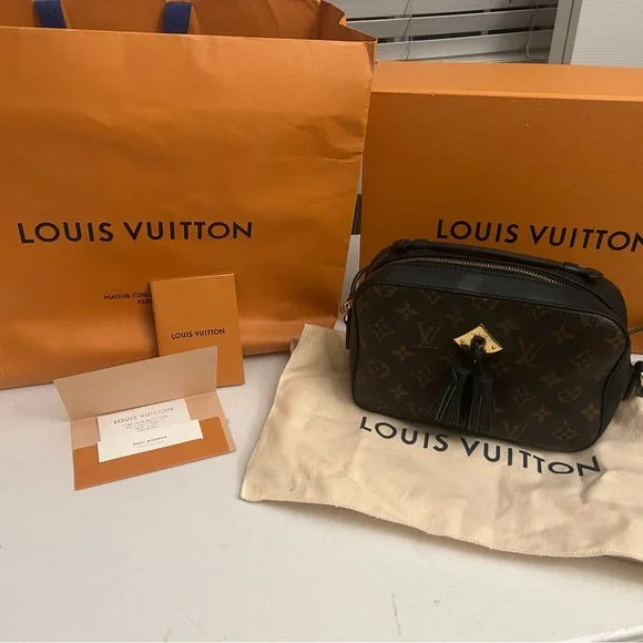 Louis Vuitton Saintoge Monogram - Picture 2 of 6